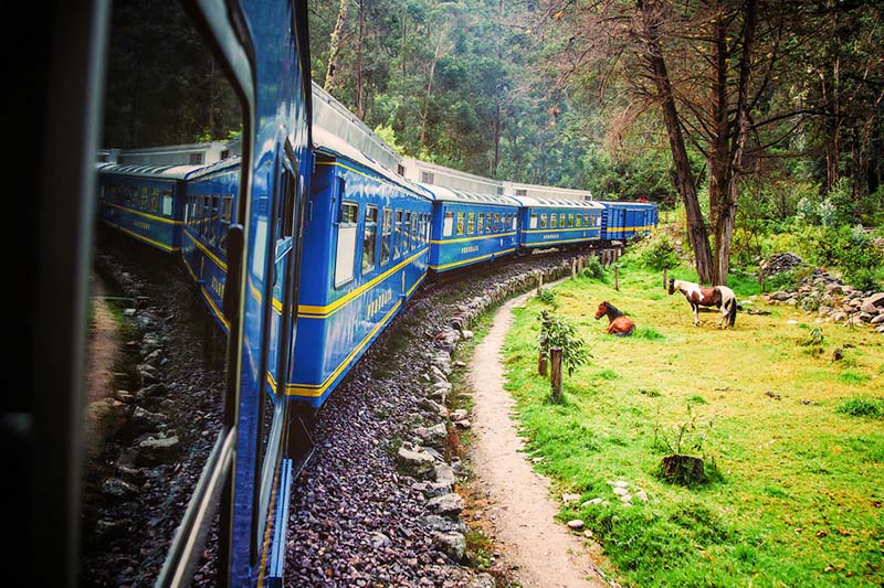 Machu Picchu top Train to Machu Picchu