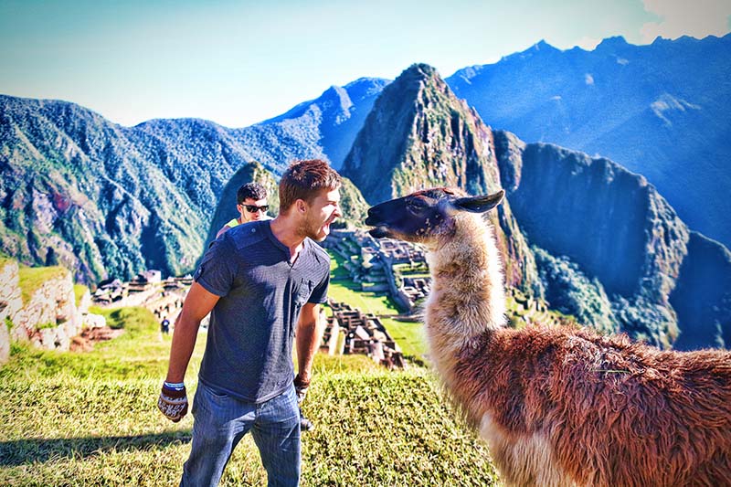 Tourists having fun with a llama at Machu Picchu