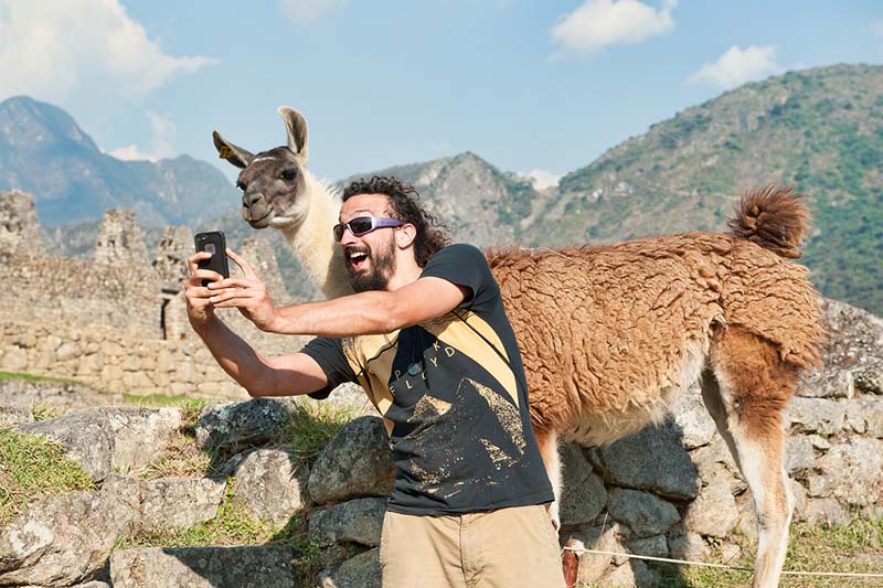 Call in Machu Picchu Tourist taking a selfie with a llama in Machu Picchu