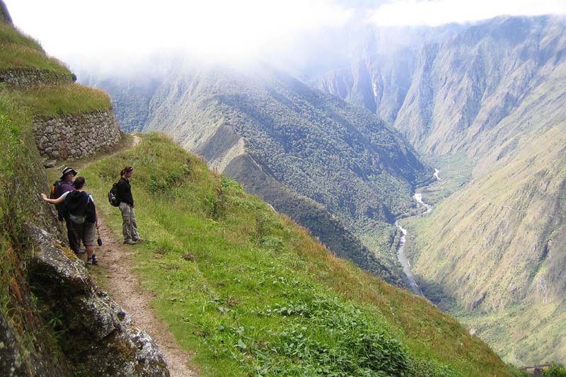 The Inca trail in the middle of the jungle brow