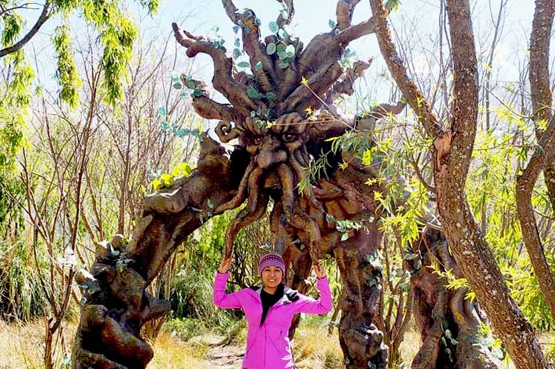 Huasao Huasao Wetland Theme Park