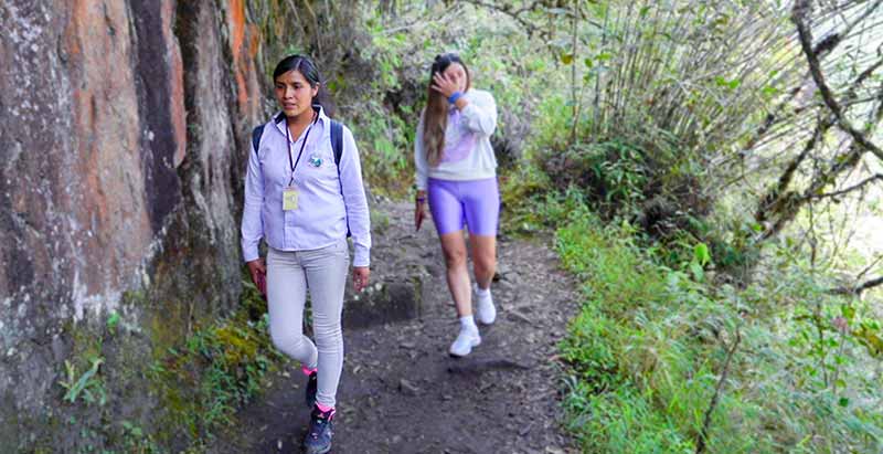 Guide service in Huayna Picchu