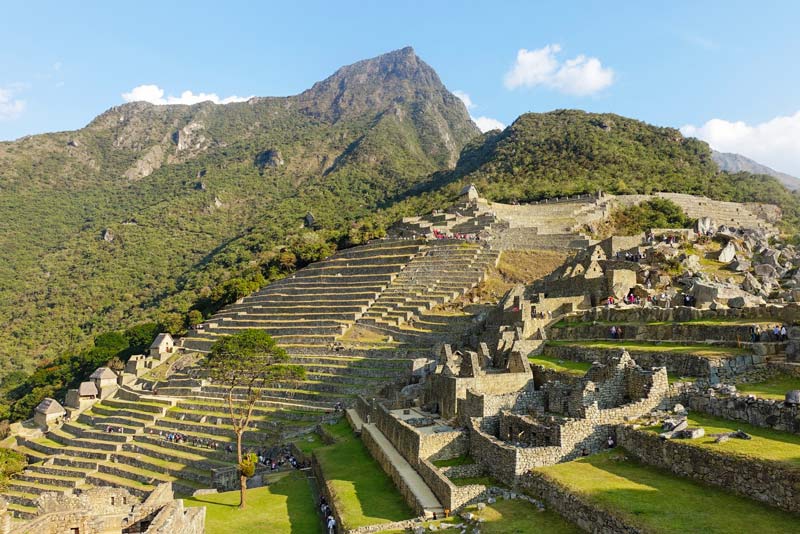 Agricultural terraces in the Inca citadel